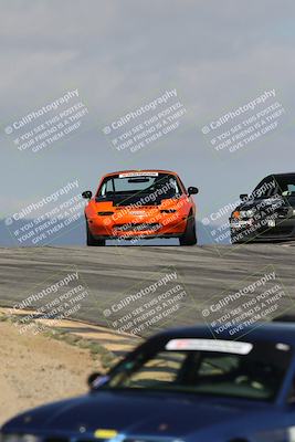 media/Oct-11-2025-Lucky Dog Racing (Sat) [[f5b53147c4]]/2-First Stint/2-Turns 9 and 10/